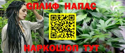 jwh Шебекино