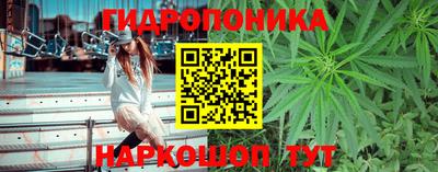 jwh Шелехов