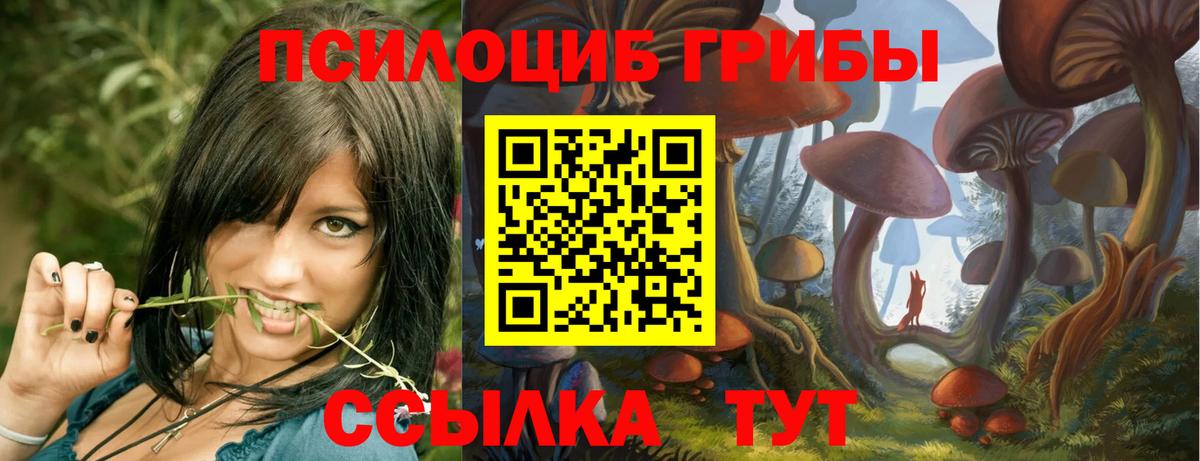 Галлюциногенные грибы Psilocybe Нерюнгри